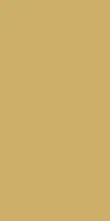 Duni dunisilk tafelkleed 138x220cm goud 1 stuks