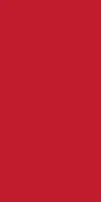 Duni dunisilk tafelkleed 138x220cm rood 1 stuks