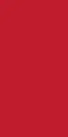 Duni dunisilk tafelkleed 138x220cm rood