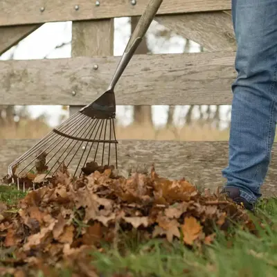 Dutch Garden gazonhark roestvrijstaal FSC-Hout - afbeelding 2