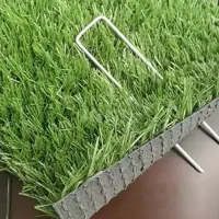 EasyLawn Pinnen zakje van 10 stuks