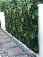 EasyLawn wandplant Forrest mix 1x1 meter - afbeelding 7