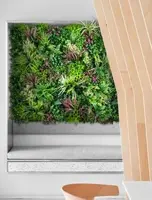 EasyLawn wandplant Forrest mix 1x1 meter - afbeelding 9