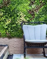 EasyLawn wandplant Forrest mix 1x1 meter - afbeelding 5
