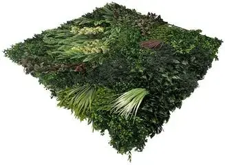 EasyLawn wandplant Forrest mix 1x1 meter - afbeelding 3