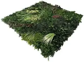 EasyLawn wandplant Forrest mix 1x1 meter - afbeelding 3