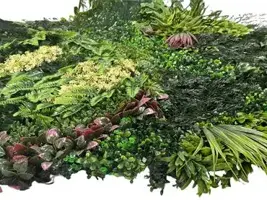 EasyLawn wandplant Forrest mix 1x1 meter - afbeelding 4