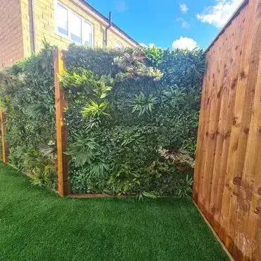 EasyLawn wandplant Forrest mix 1x1 meter - afbeelding 6