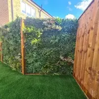 EasyLawn wandplant Forrest mix 1x1 meter - afbeelding 6