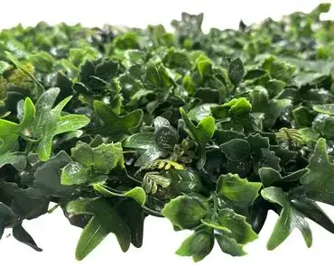EasyLawn wandplant Hydranchea mix 1x1 meter - afbeelding 4