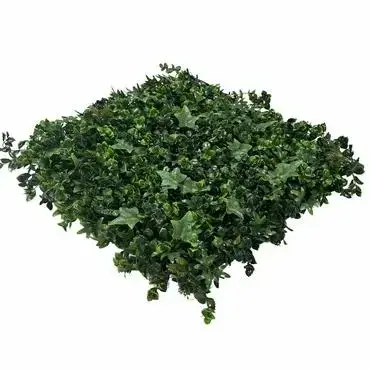 EasyLawn wandplant Hydranchea mix 1x1 meter - afbeelding 3