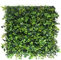 EasyLawn wandplant Hydranchea mix 1x1 meter kopen?