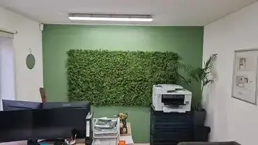 EasyLawn wandplant Moss mix 1x1 meter - afbeelding 7