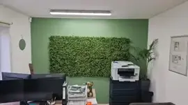 EasyLawn wandplant Moss mix 1x1 meter - afbeelding 7