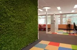EasyLawn wandplant Moss mix 1x1 meter - afbeelding 8