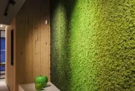 EasyLawn wandplant Moss mix 1x1 meter - afbeelding 6