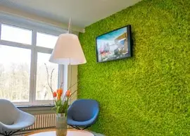 EasyLawn wandplant Moss mix 1x1 meter - afbeelding 5