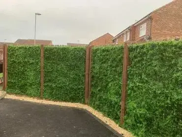EasyLawn wandplant Varenmix 1x1 meter - afbeelding 6