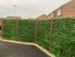 EasyLawn wandplant Varenmix 1x1 meter - afbeelding 6