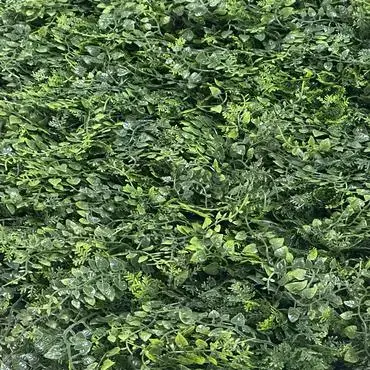 EasyLawn wandplant Varenmix 1x1 meter - afbeelding 3
