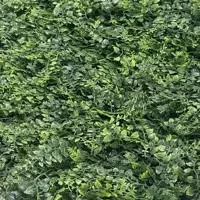 EasyLawn wandplant Varenmix 1x1 meter - afbeelding 3