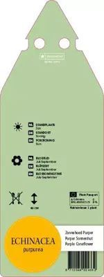 Echinacea Purp. (Zonnehoed) - afbeelding 2