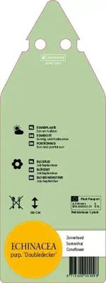 Echinacea Purpurea Doubledecker (Zonnehoed) - afbeelding 2
