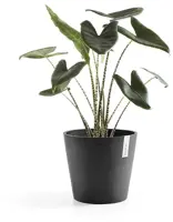 Ecopots Amsterdam Donkergrijs Ø30 x H26,3 cm - afbeelding 2