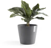 Ecopots Amsterdam Grijs Ø40 x H35 cm - afbeelding 2