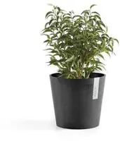 Ecopots Amsterdam Mini Donkergrijs Ø17 x H14,7 cm - afbeelding 2