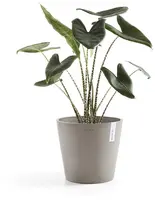 Ecopots Amsterdam Taupe Ø30 x H26,3 cm - afbeelding 2