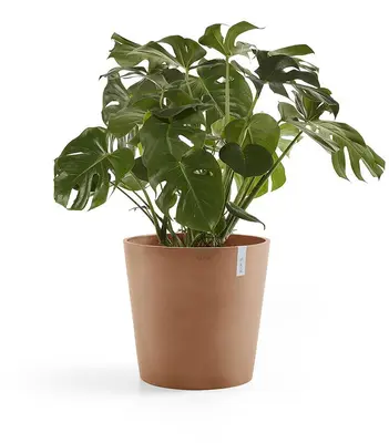 Ecopots Amsterdam Terracotta Ø50 x H44 cm - afbeelding 2