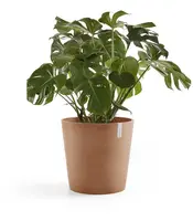 Ecopots Amsterdam Terracotta Ø50 x H44 cm - afbeelding 2
