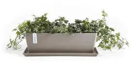 Ecopots Bruges Taupe L55 x B17 x H17 cm - afbeelding 4