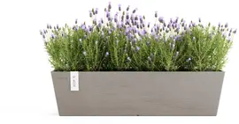 Ecopots Bruges Taupe L65 x B20 x H20 cm - afbeelding 6