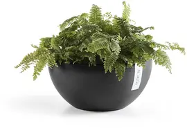 Ecopots Brussels Donkergrijs Ø30 x H14 cm - afbeelding 2