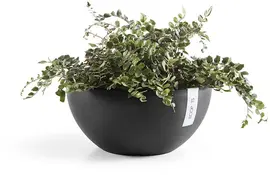 Ecopots Brussels Donkergrijs Ø35 x H16,5 cm - afbeelding 2