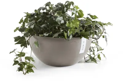 Ecopots Brussels Taupe Ø30 x H14 cm - afbeelding 6