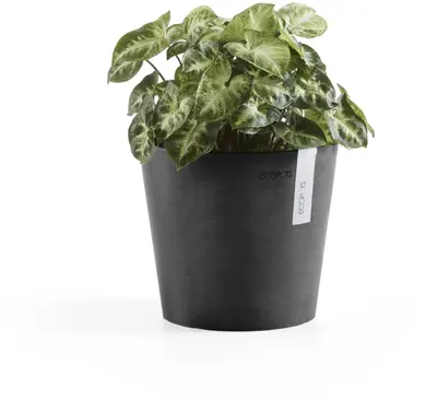Ecopots kunststof bloempot amsterdam 17x14.7 cm donkergrijs     - afbeelding 4