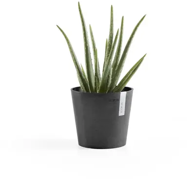 Ecopots kunststof bloempot amsterdam 17x14.7 cm donkergrijs     - afbeelding 5