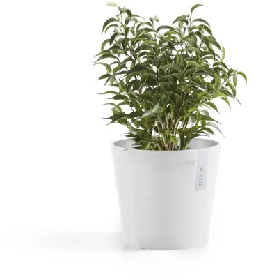Ecopots kunststof bloempot amsterdam 17x14.7 cm puur wit     - afbeelding 2