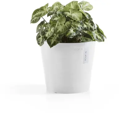 Ecopots kunststof bloempot amsterdam 17x14.7 cm puur wit     - afbeelding 5