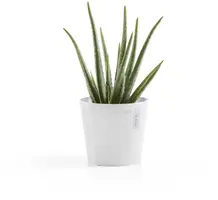 Ecopots kunststof bloempot amsterdam 17x14.7 cm puur wit     - afbeelding 6