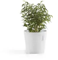Ecopots kunststof bloempot amsterdam 17x14.7 cm puurwit     - afbeelding 2