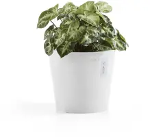 Ecopots kunststof bloempot amsterdam 17x14.7 cm puurwit     - afbeelding 5