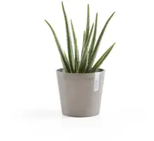 Ecopots kunststof bloempot amsterdam 17x14.7 cm taupe     - afbeelding 6