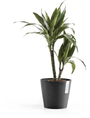 Ecopots kunststof bloempot amsterdam 20x17.7 cm donkergrijs     - afbeelding 4
