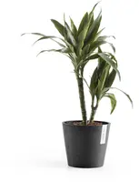 Ecopots kunststof bloempot amsterdam 20x17.7 cm donkergrijs     - afbeelding 4