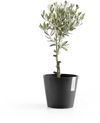 Ecopots kunststof bloempot amsterdam 20x17.7 cm donkergrijs     - afbeelding 5