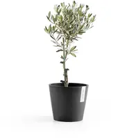 Ecopots kunststof bloempot amsterdam 20x17.7 cm donkergrijs     - afbeelding 5